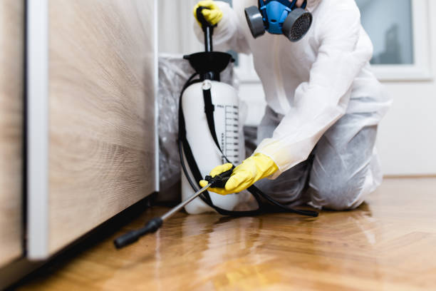 Best Pest Inspection Near Me  in Winterville, NC