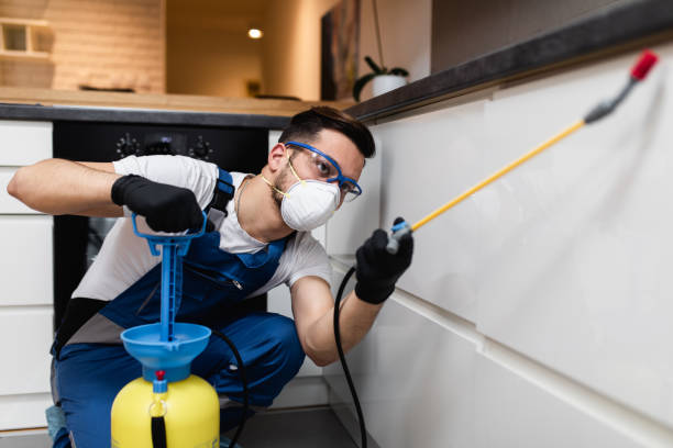 Best Mosquito Control Services  in Winterville, NC