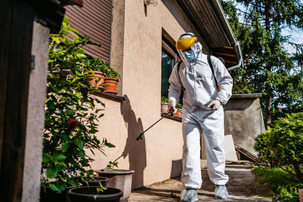 Best Affordable Pest Control Services  in Winterville, NC