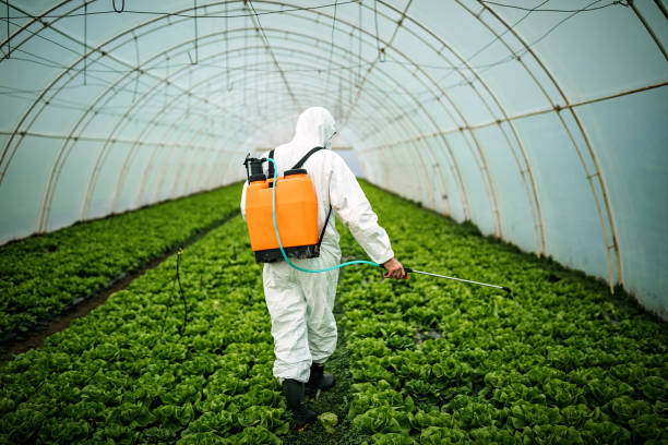 Best Pest Removal Services  in Winterville, NC