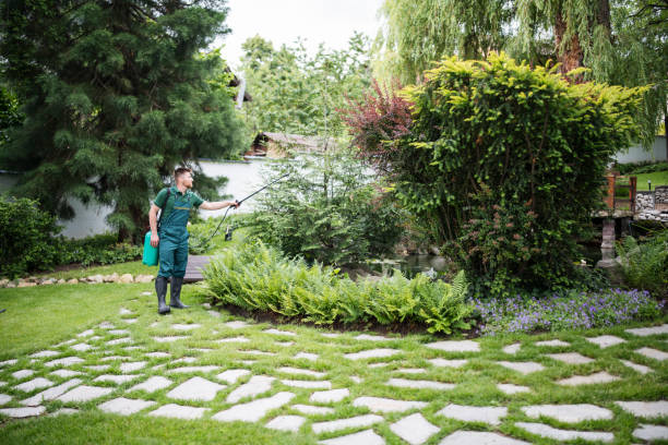 Best Mosquito Control Services  in Winterville, NC