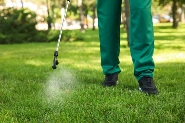 Best Rat Extermination Near Me  in Winterville, NC