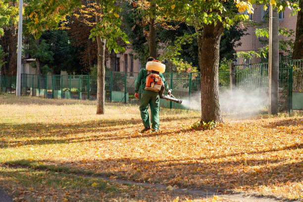 Best Flea Control Services  in Winterville, NC
