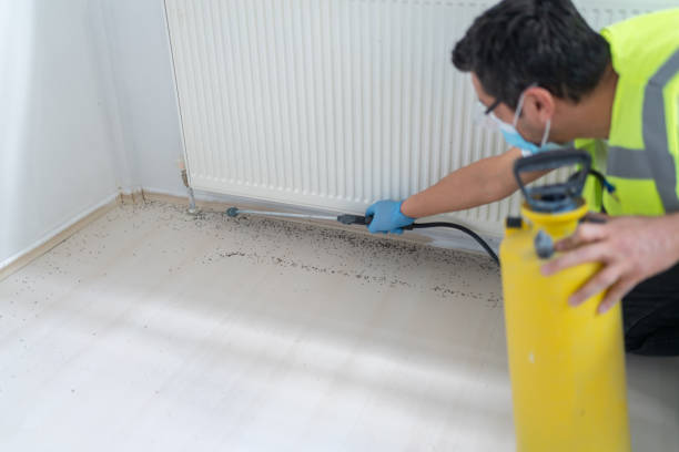 Best Commercial Pest Control Services  in Winterville, NC
