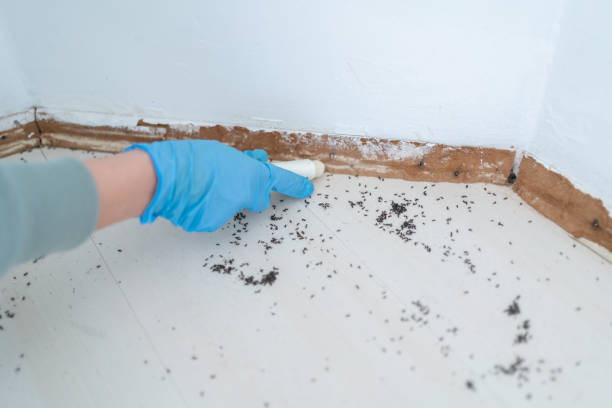 Best Cockroach Control Services  in Winterville, NC